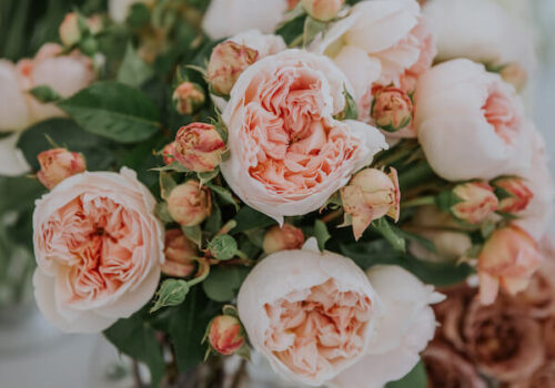 Sydney wedding and event florist